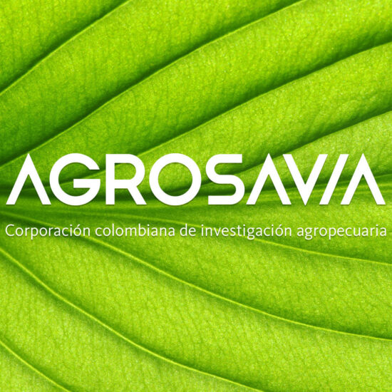 Diseño de Imagen corporativa. Re-Branding para la marca Agrosavia
