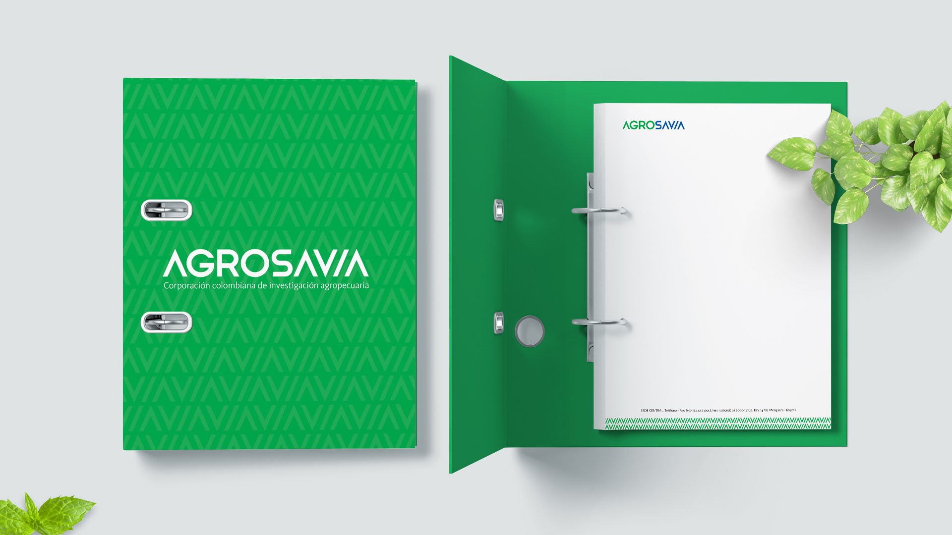 Diseño de Imagen corporativa y diseño gráfico. Diseño de papelería para la marca Agrosavia