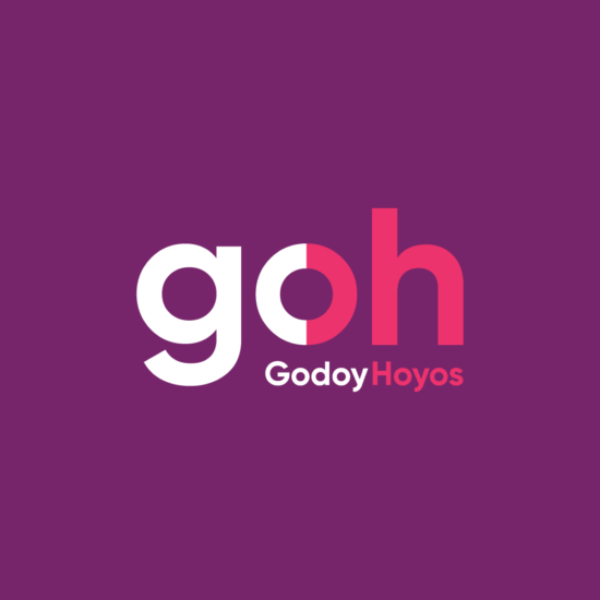 Branding, Identidad visual del logo corporativo de Godoy Hoyos