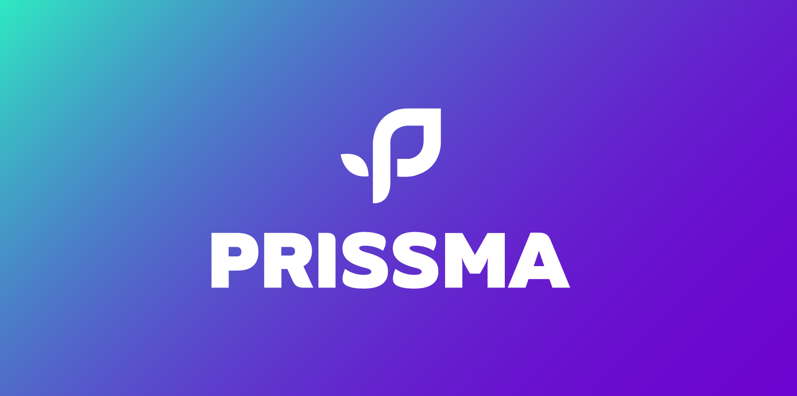 prissma-sistema-grafico-1